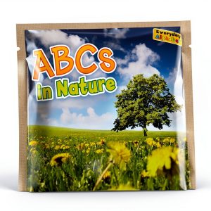 Everyday Alphabet for Preschoolers by Raintree-0